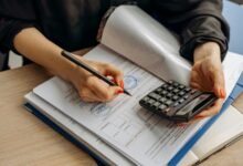 number verification insights provided