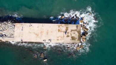 adult entertainment platform overview