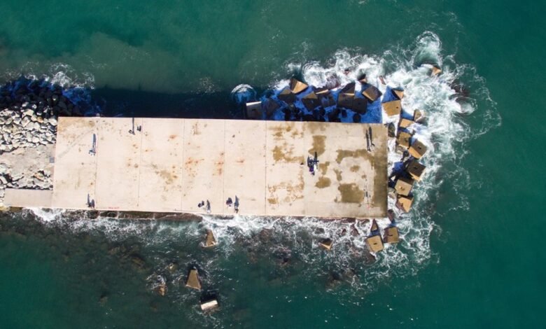 adult entertainment platform overview