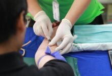 gonzay com agency services contact