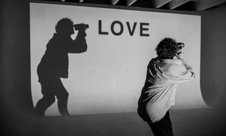 h maiz profile summary overview