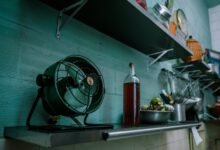 ingredients and their benefits