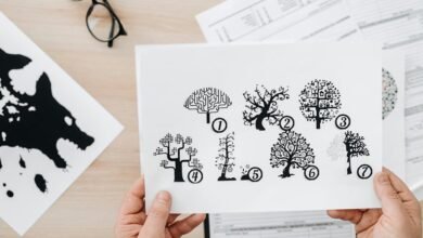 detailed assessment of numbers