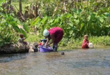 keveshelman activity overview summary