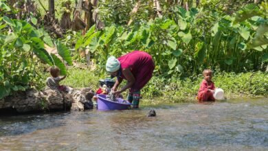 keveshelman activity overview summary