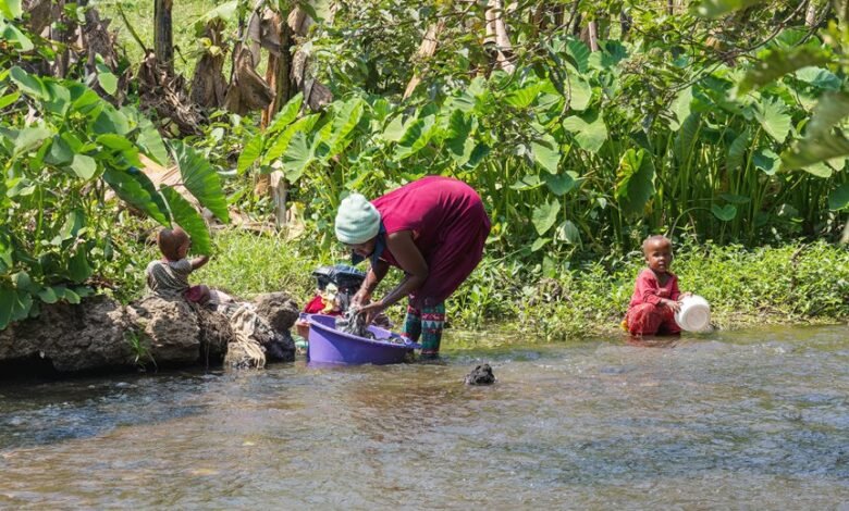 keveshelman activity overview summary