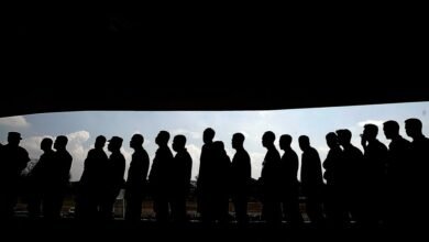 profile analysis and metrics