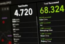 update on 0800 300 7969 with facts