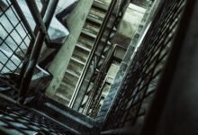 vertex surge growth orbit