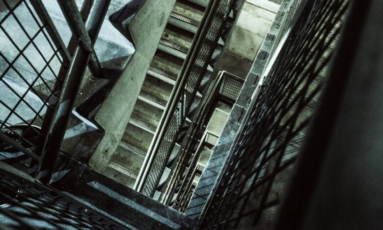 vertex surge growth orbit