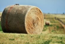 zenith node expansion loop