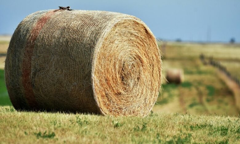 zenith node expansion loop